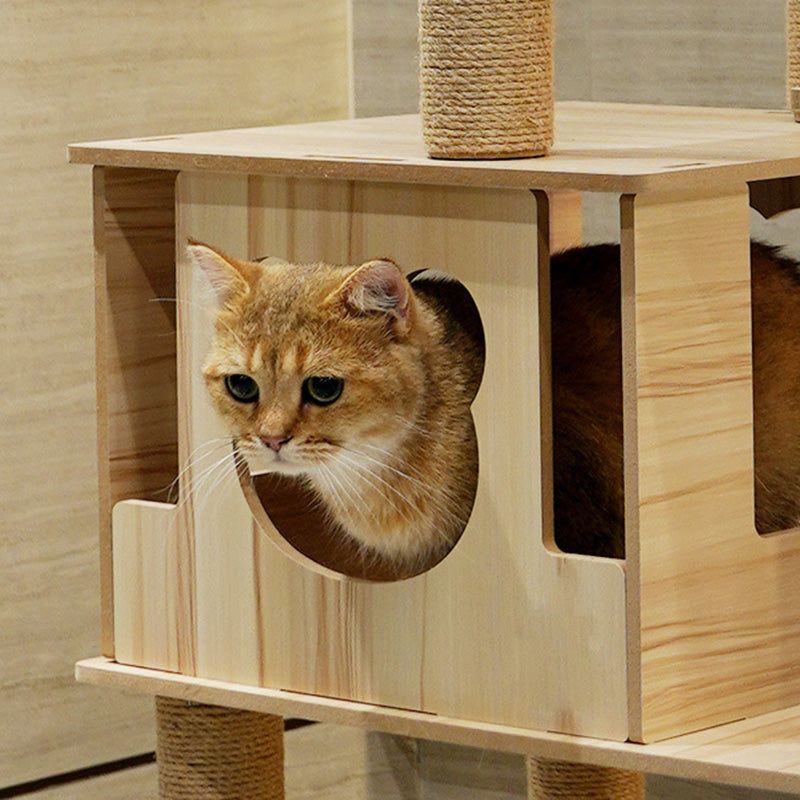 Wooden 5 lever large cat tree