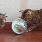 Ocean Ball Cat Toys