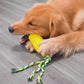Suction cup corn tug-of-war toys
