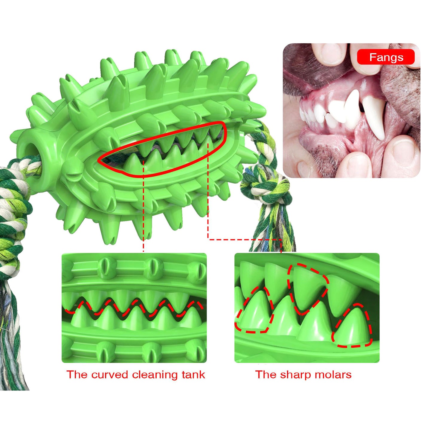 Rugby chew toy