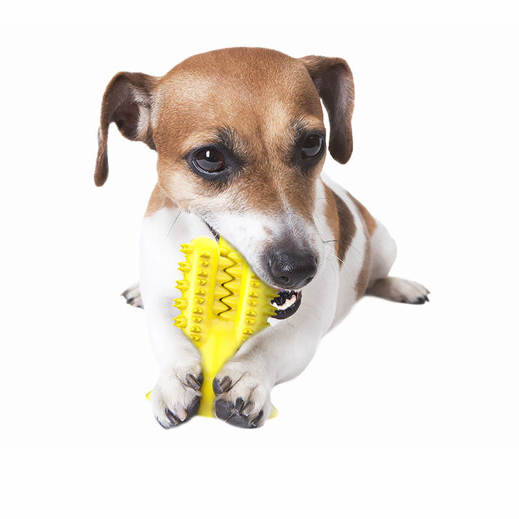 Cactus chew toys