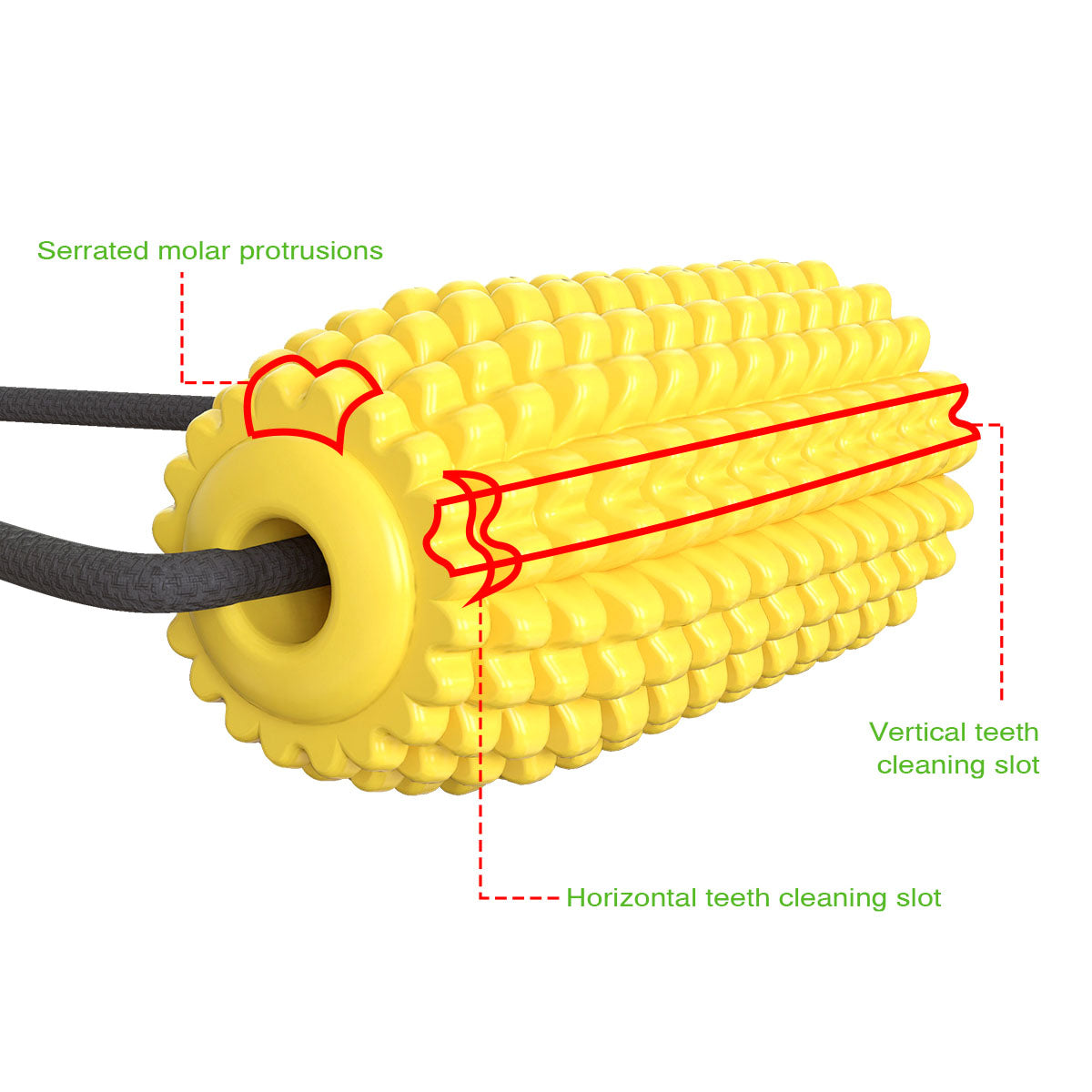 Suction cup corn tug-of-war toys