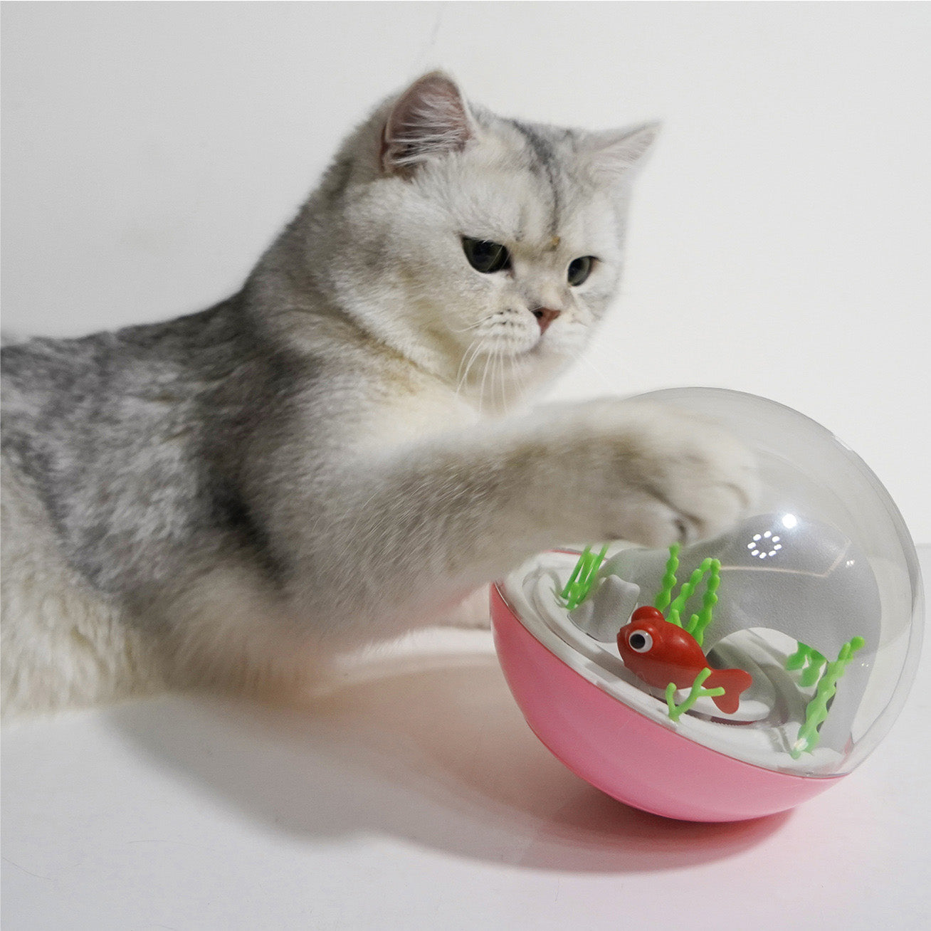 Ocean Ball Cat Toys