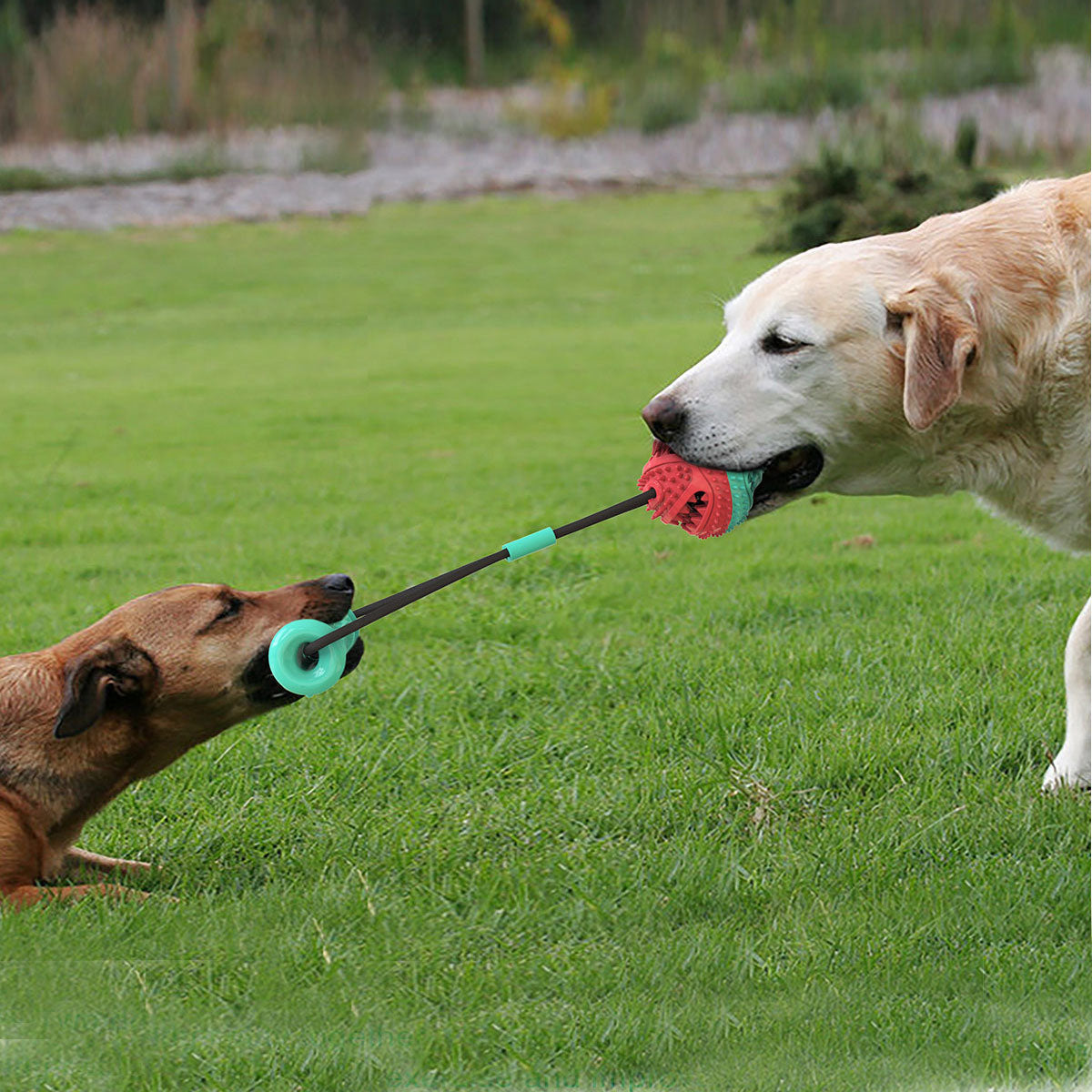 Pulling training ball