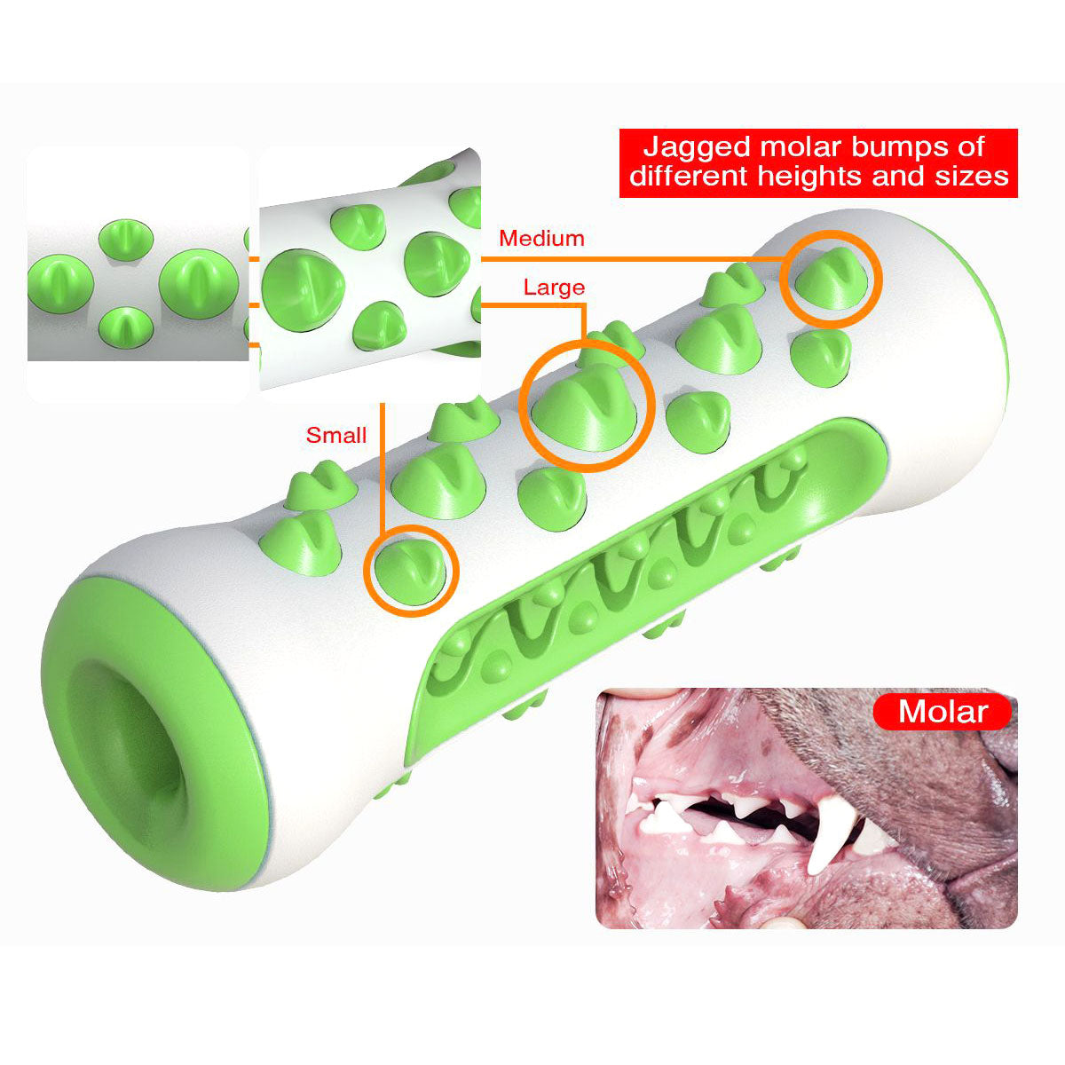 Bone dog toothbrush for medium and large dogs