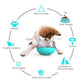 New dog slow feeder bowl