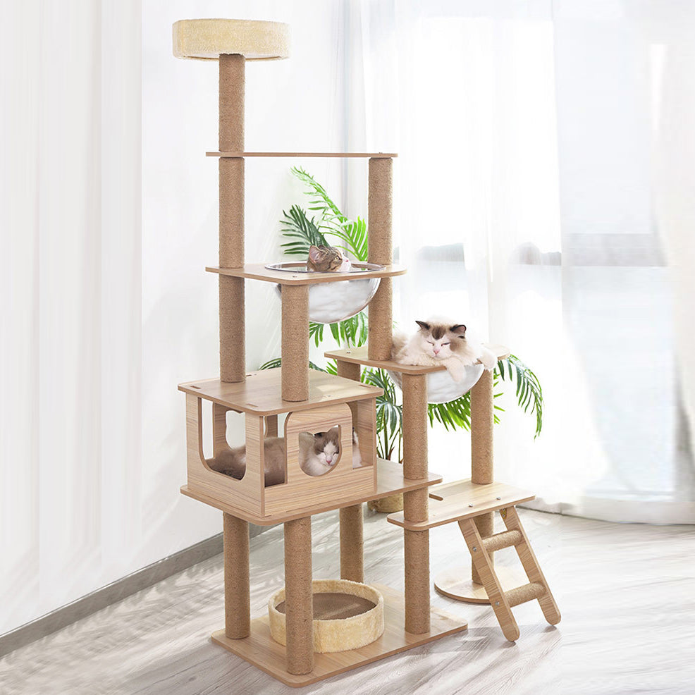 Multi-level wooden cat tree with capsule house