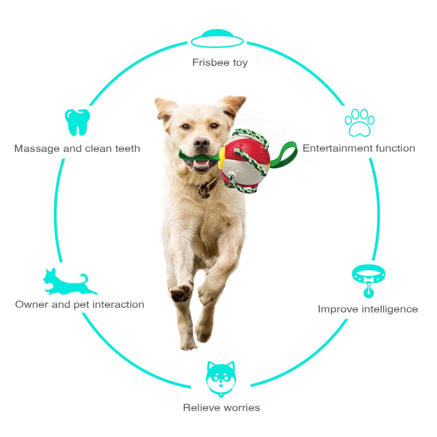 Multi-functional dog Frisbee ball