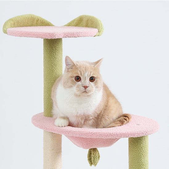 Multi-lever pink cat tree with box