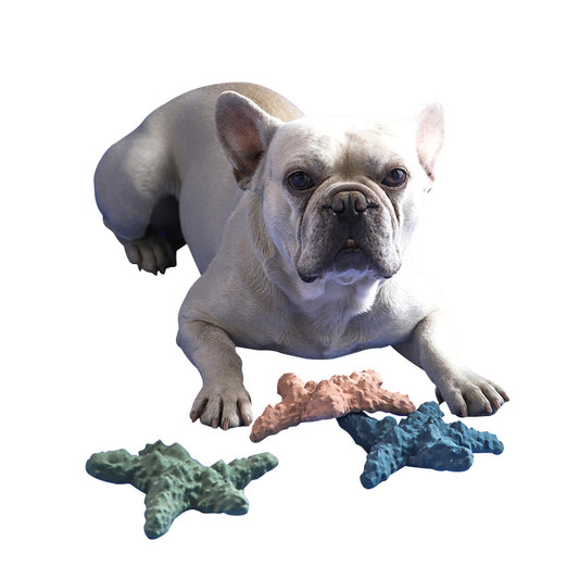 Starfish Shape Feeder Dog Toys