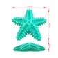 Vocal Starfish Chew Toy