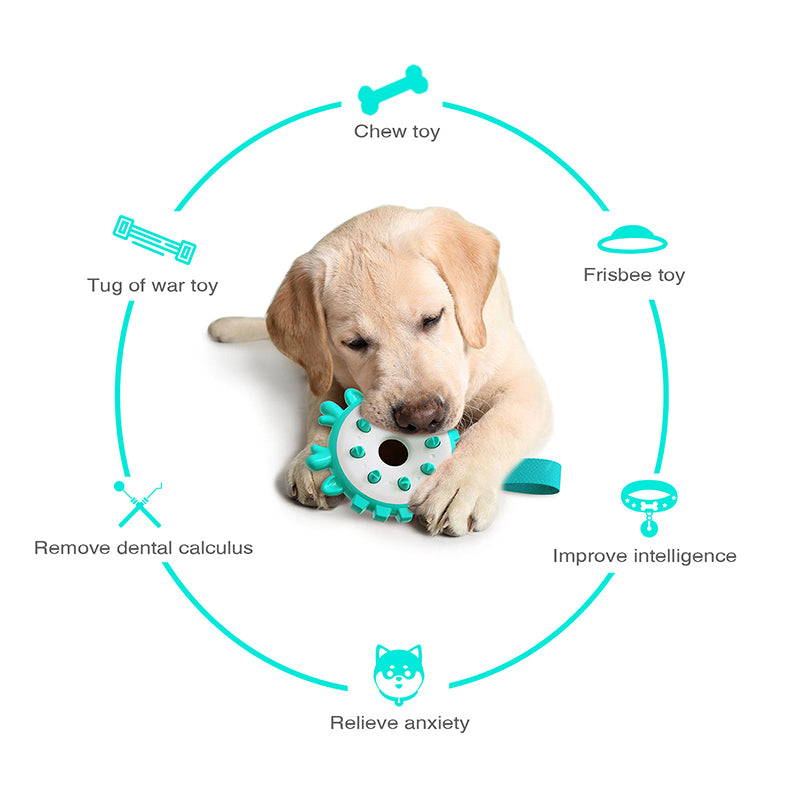 Energy Circle Dog Chew Toy