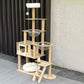 Luxury large cat tree with capsule nest