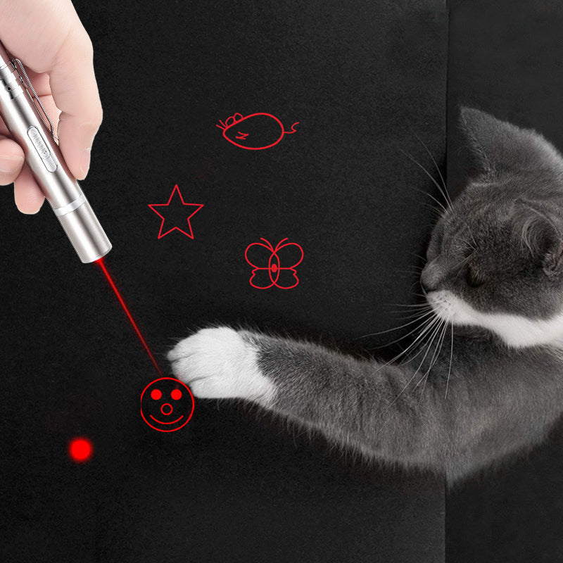 Stainless steel laser cat teaser