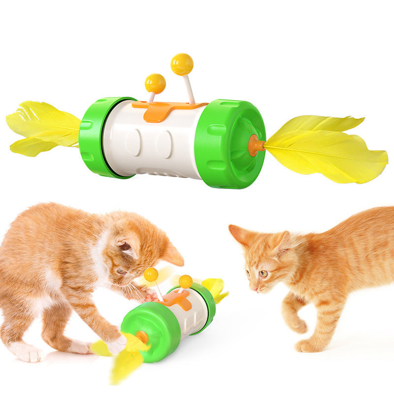 Magic Wheel Cat Toys