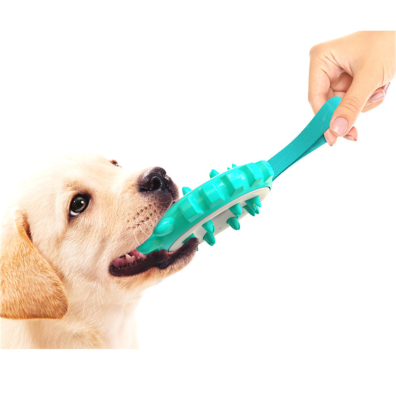 Energy Circle Dog Chew Toy