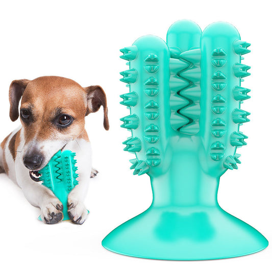 Cactus chew toys