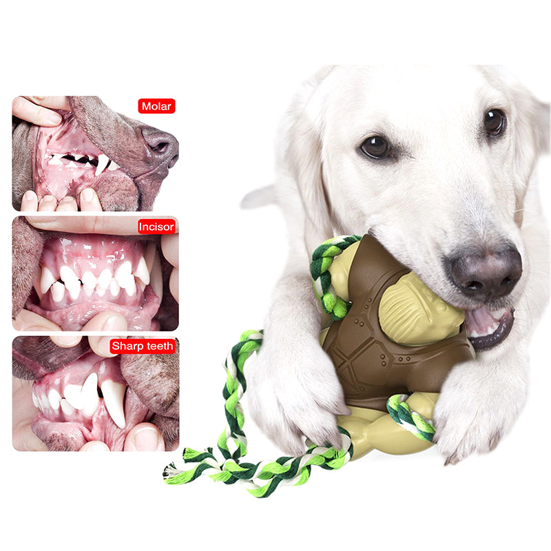 Caesar gorilla dog chew toy