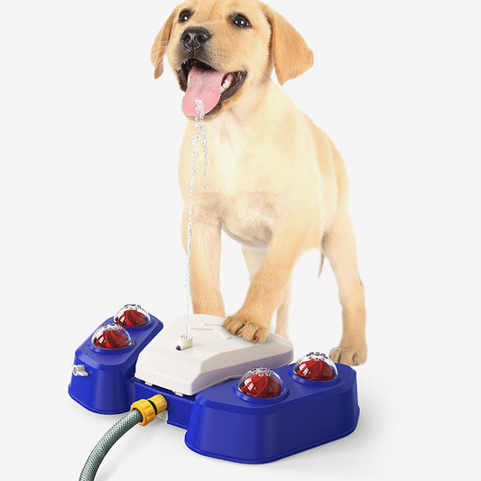 Outdoor dog automatic water dispenser