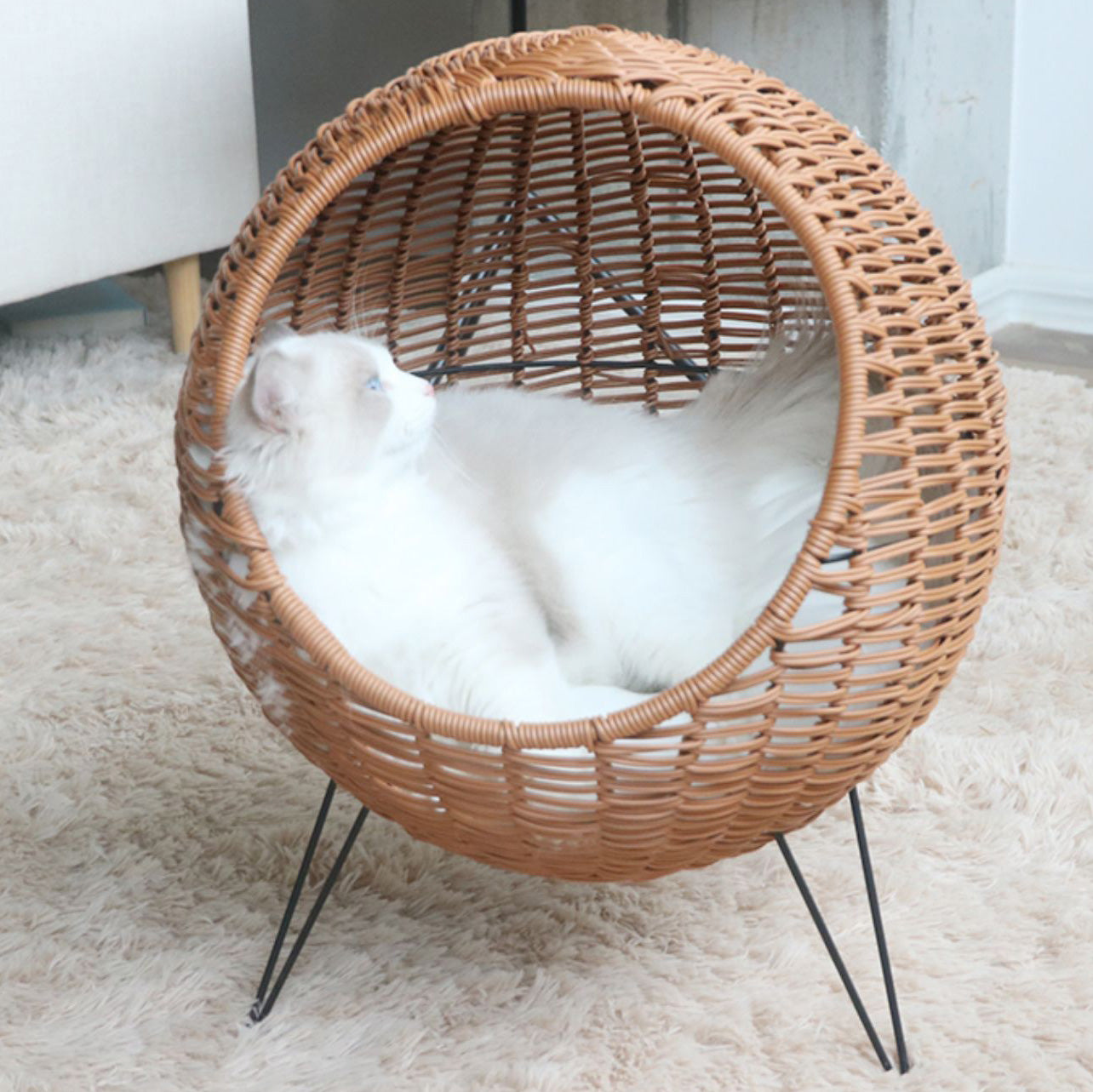 regular rattan-weaved hemispheric pet kennel with mat