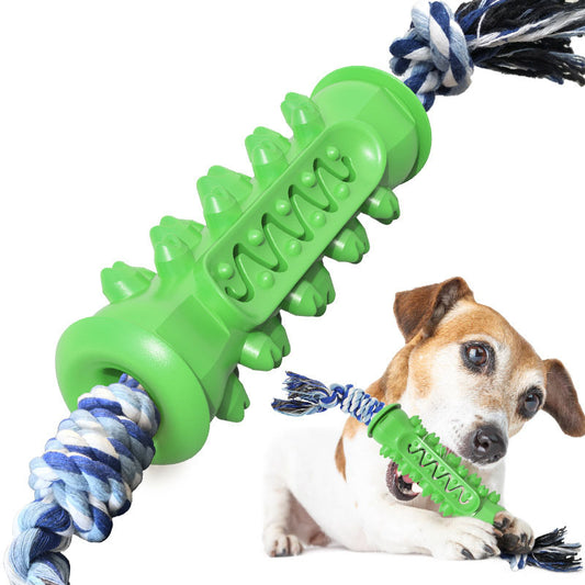 Chew toy with rope