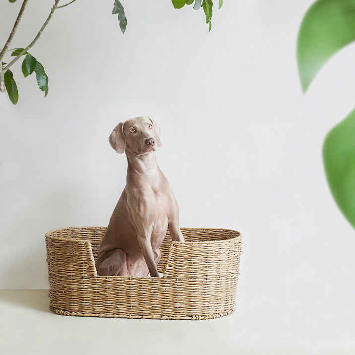 Hand-made plastic rattan waved pet bed