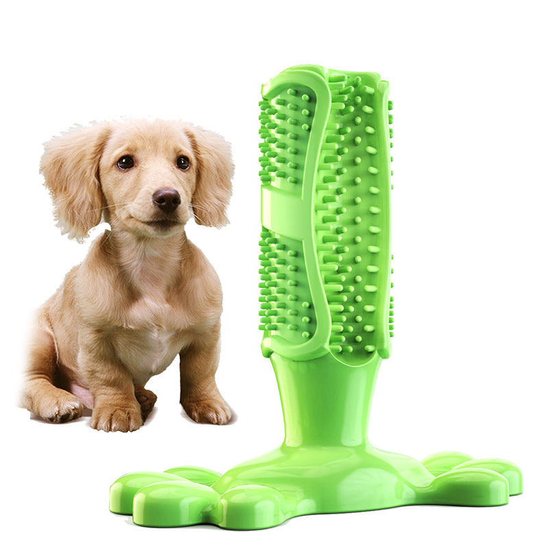 Dog paw base toothbrush