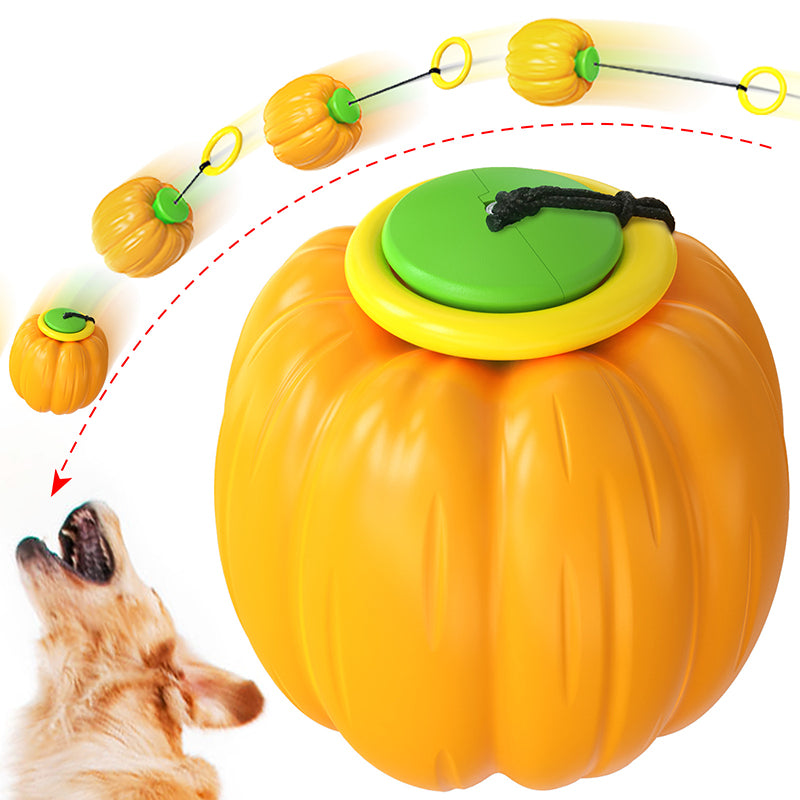 Pumpkin hand toss ball