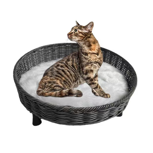 Off-ground rattan pet bed