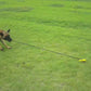 Dog ground bolts + pulling ball