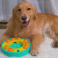 Dogs Slow Feeder Intelligence Training