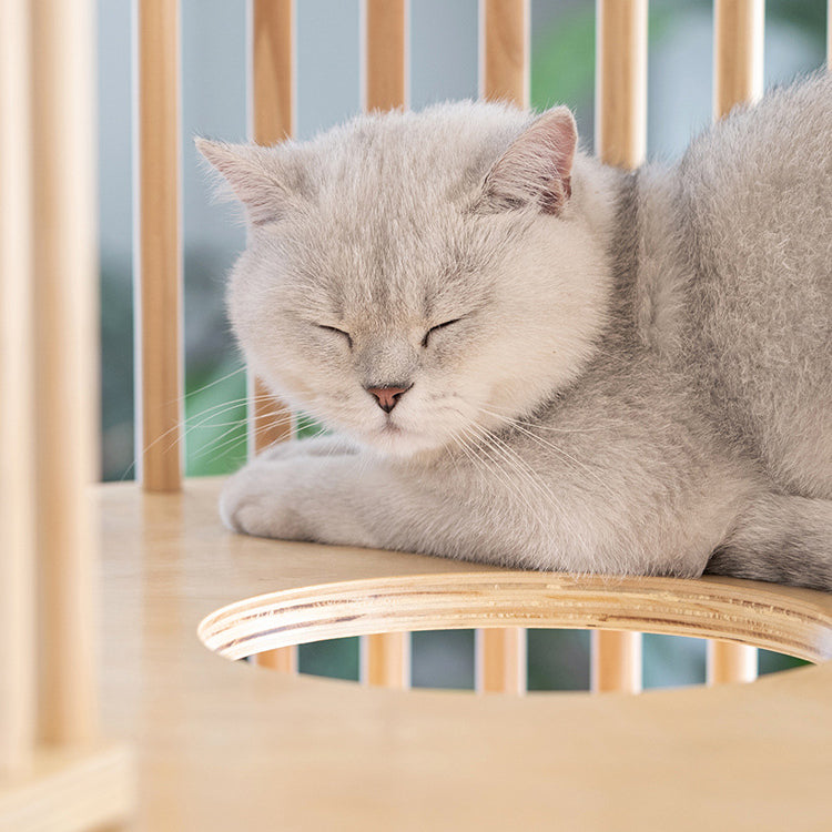 Three-layer wooden cat cage large pet house