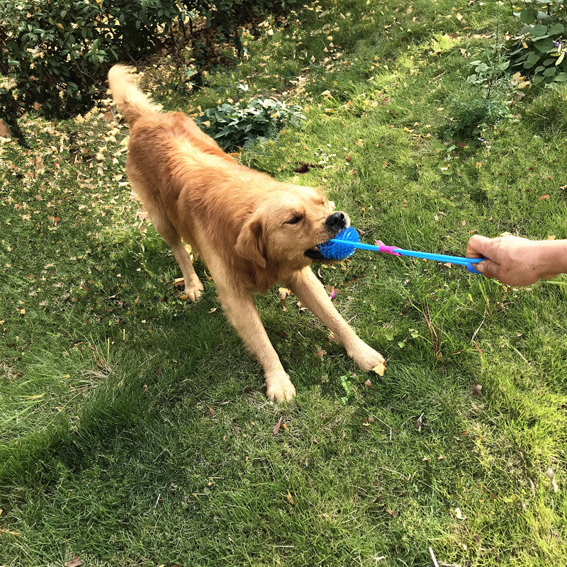 Dog Interactive Stretch Spikey Balls