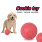 Durable Interactive Fetch Chew Tennis Ball Dog Toys