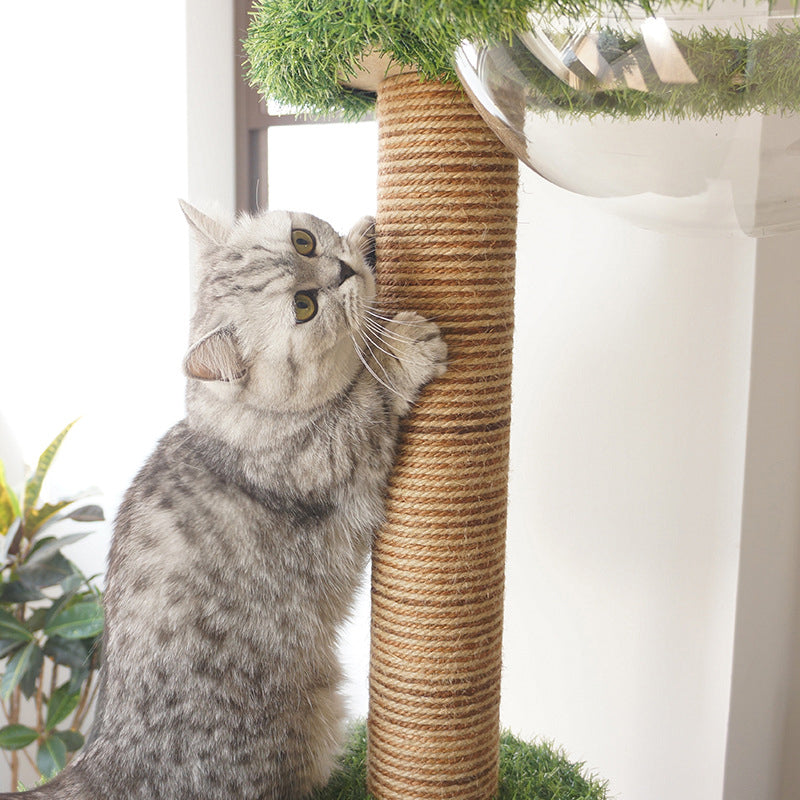 PV lawn tall cat tree