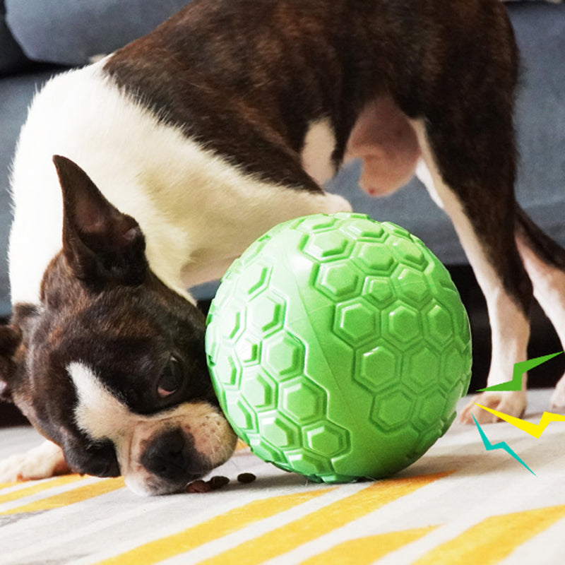 Dog chew ball with feeding function