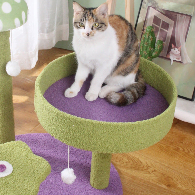 Mushroom climbing frame