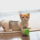 Vocal balancing car cat toys