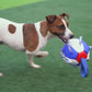 Multi-functional dog Frisbee ball