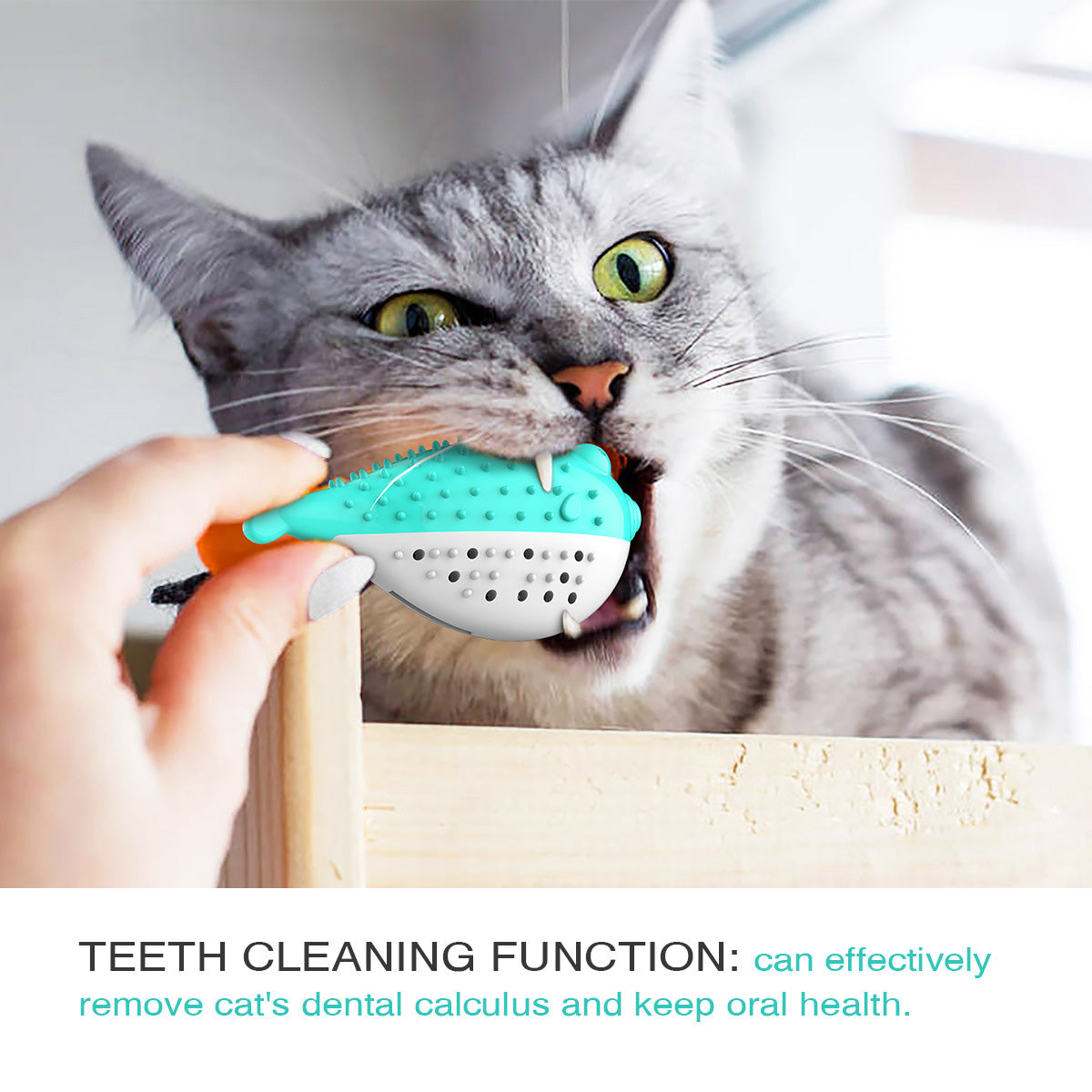 Blowfish-shaped cat toothbrush