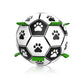 Dog footballs toys