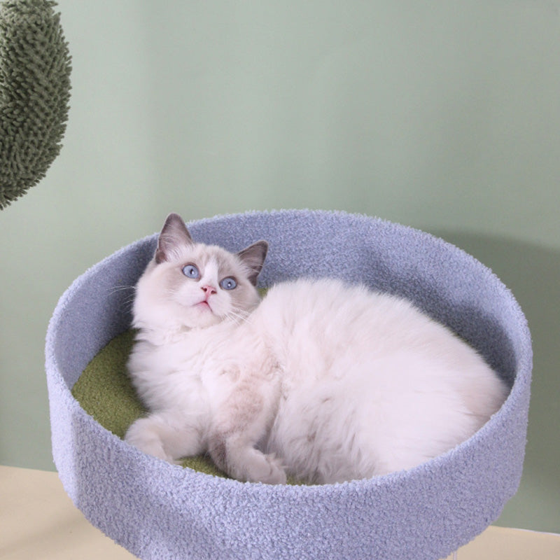 Cactus cat climbing frame