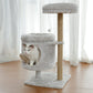 Small αand βcat tree