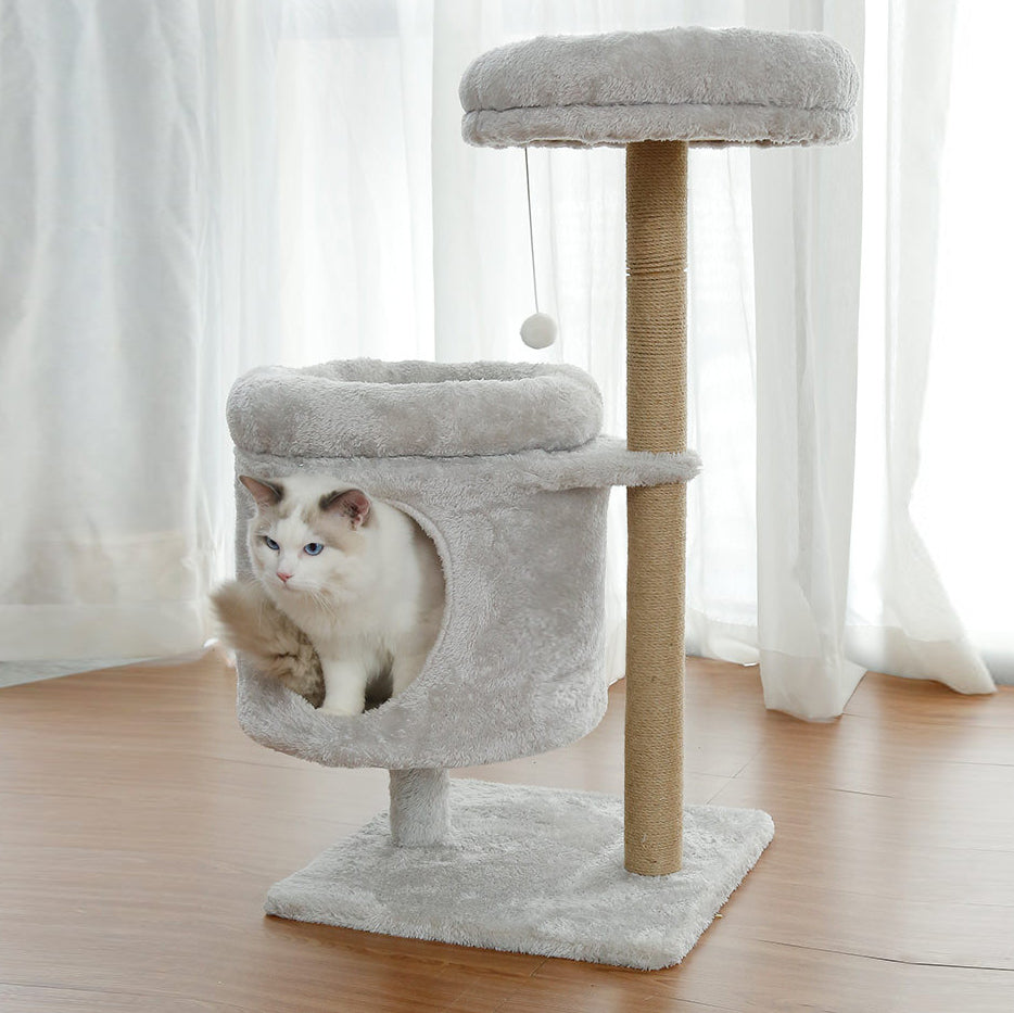 Small αand βcat tree