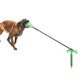 Tie-out Stick Cable Pet Leash Post Dog Ball Set