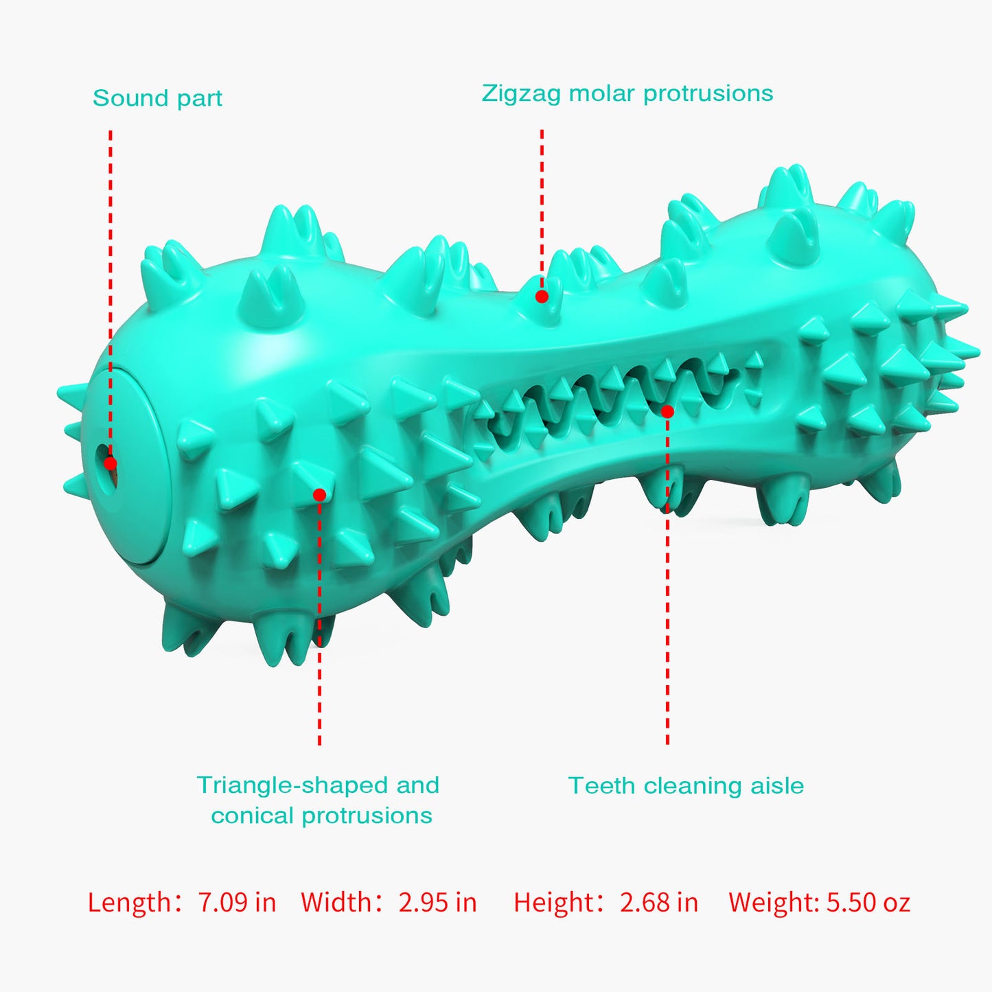 Tapered Bump Chew Toy