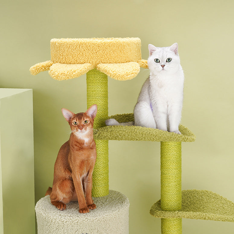 Lotus leaf flower cat tree