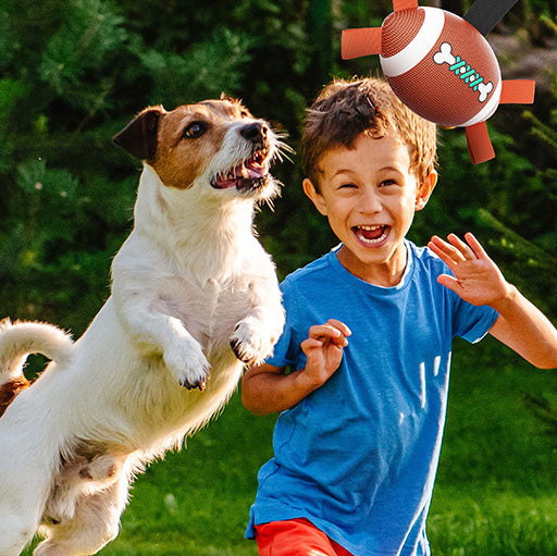 Interactive rugby toys