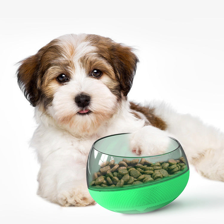 New dog slow feeder bowl