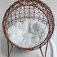 Rattan Round Condo with Cushion